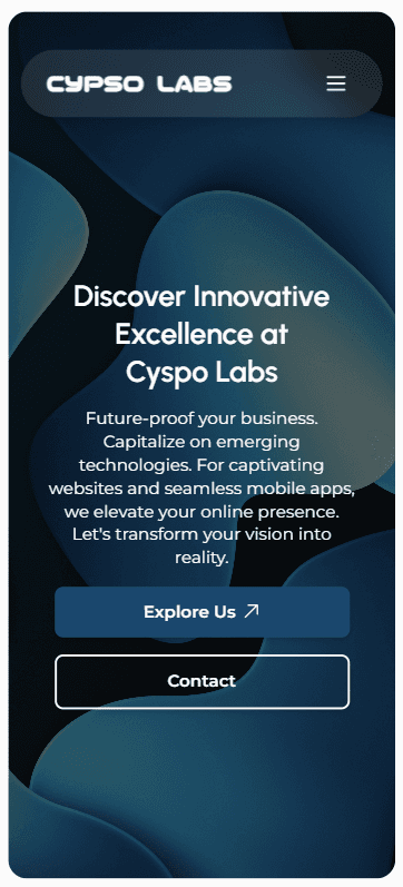 Cypso Labs Frontend thumbnail 2